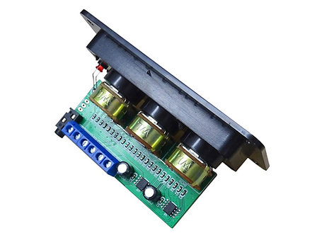 Module amplificateur int&eacute;gr&eacute; 2x 20W avec contr&ocirc;le de tonalit&eacute; 12-18V/DC