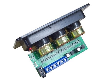 2x 20W Built-in Amplifier Module with Tone Control 12-18V/DC