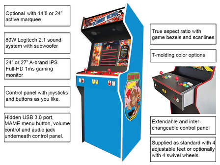 2-Player Almighty &#039;Donkey Kong&#039; Custom Upright Arcadekast 