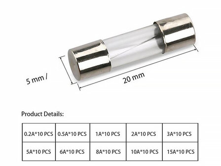 100 St&uuml;ck sortierte Glassicherungen (schnell) 5x20mm in praktischer Aufbewahrungsbox