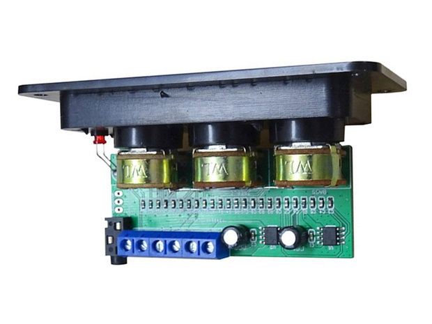 2x 20W eingebautes Verstärkermodul mit Tone Control 12-18V/DC
