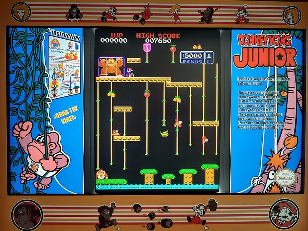 2-Player Almighty 'Donkey Kong' Remastered Custom Upright Arcadekast TKG4 Blauw